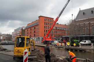 Bomen Markendaalseweg verhuizen in Breda